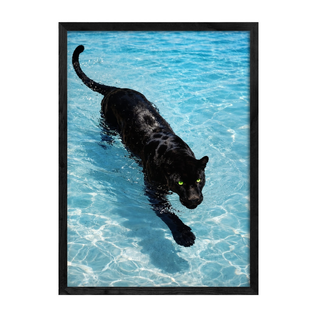 Panther Swim
