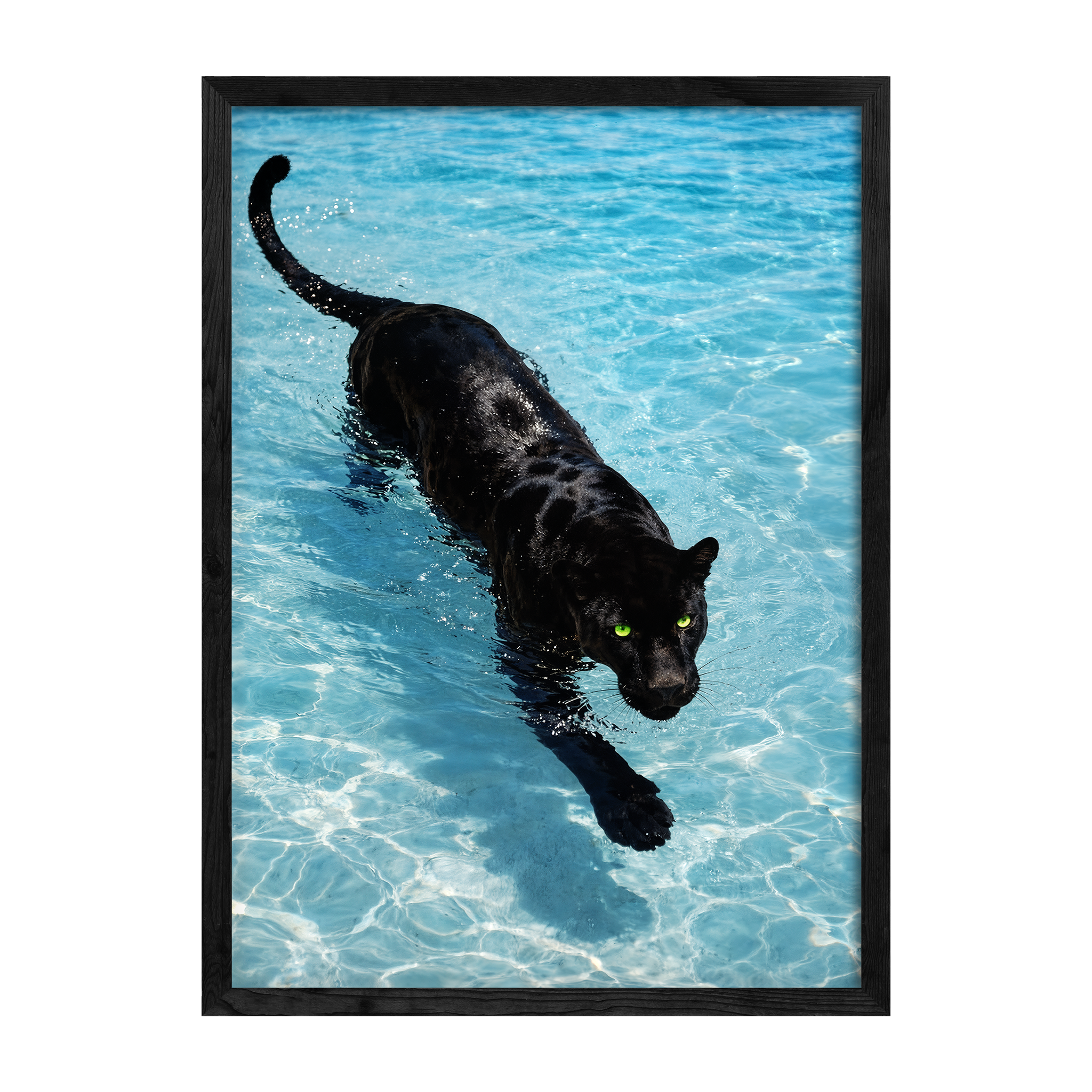 Panther Swim