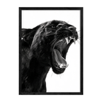 Panther