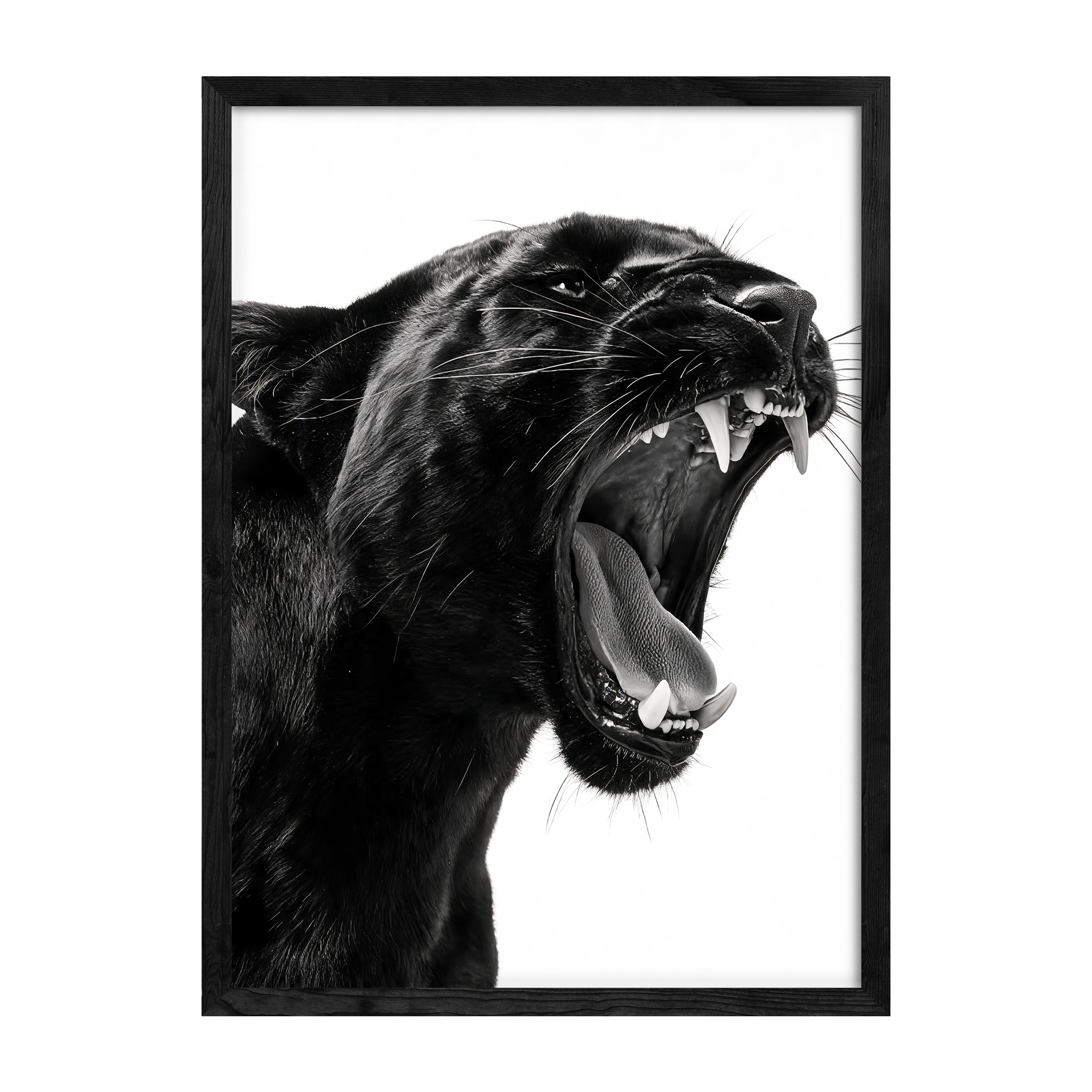 Panther